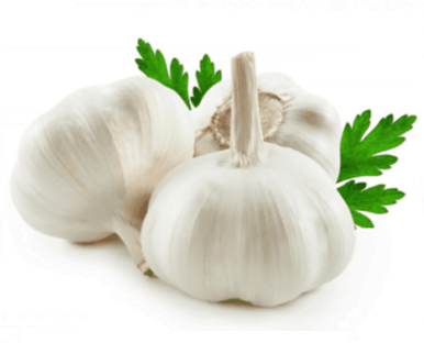  Garlic