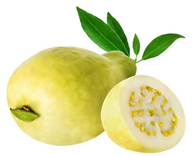 Guava